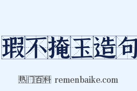 瑕不掩玉造句是什么意思的图片